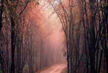 欧洲联赛夺冠热门命运起起伏伏