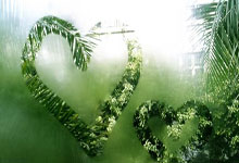 欧洲联赛夺冠热门命运起起伏伏