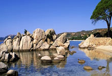 欧洲联赛夺冠热门命运起起伏伏