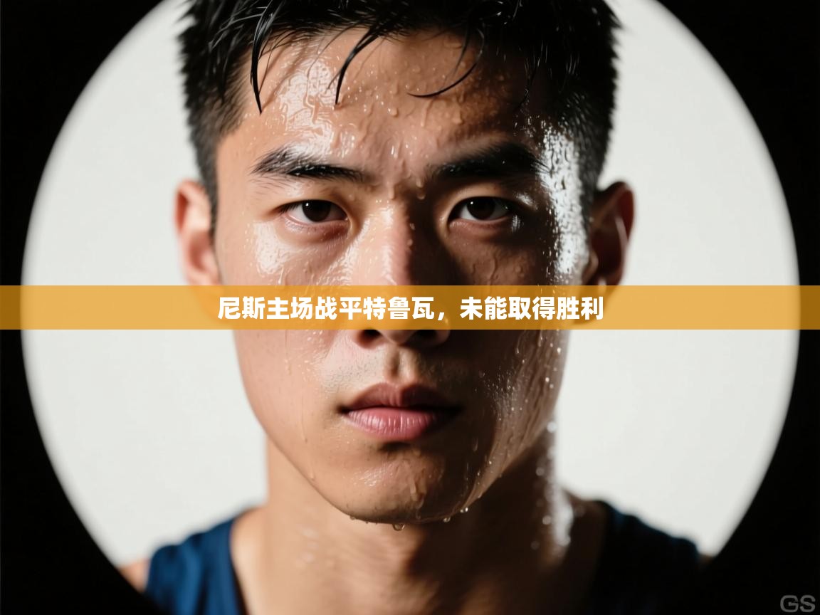 尼斯主场战平特鲁瓦,未能取得胜利 第1张